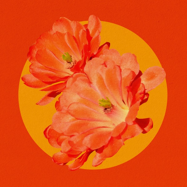 Desert Flower (feat. Mereba) [Remix] - Single album cover