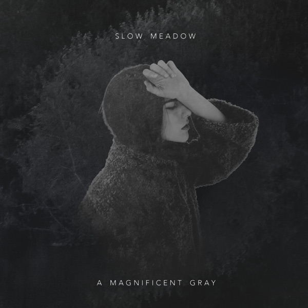 A Magnificent Gray - Single album cover