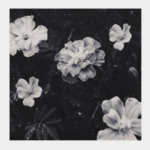 Tiny Sprout (feat. Alaskan Tapes) - Single album cover