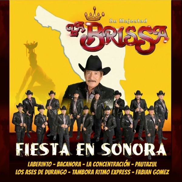 Fiesta en Sonora (feat. Grupo Laberinto, Grupo Bacanora, La Concentración, PautAzul, Los Ases de Dur album cover