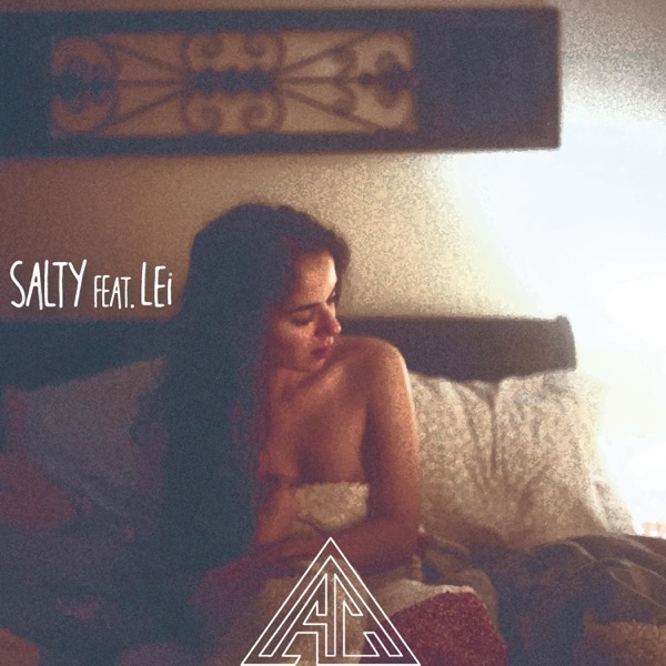 Salty (feat. Lei) - Single album cover
