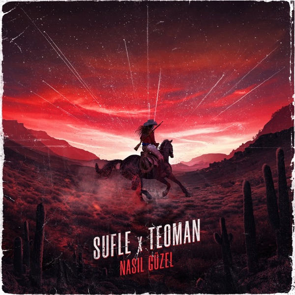 Nasıl Güzel - Single album cover