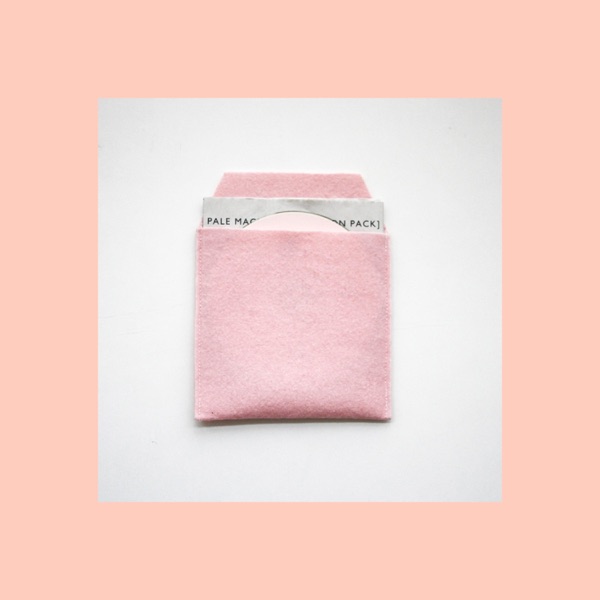 Pale Machine Expansion Pack Singles - Single album cover