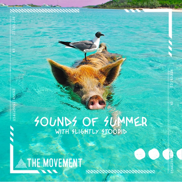 Sounds of Summer - Single album cover