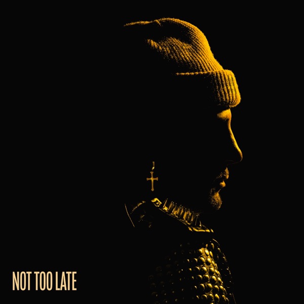 Not Too Late - Single album cover