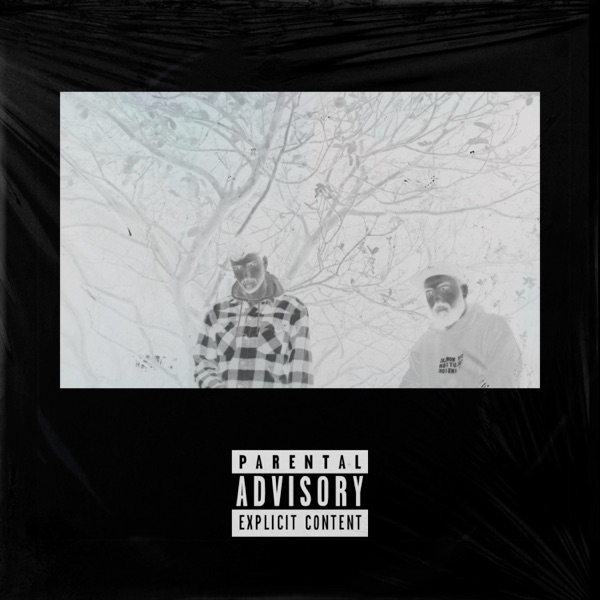 Controle de Danos - Single album cover