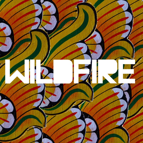 Wildfire - Single album cover