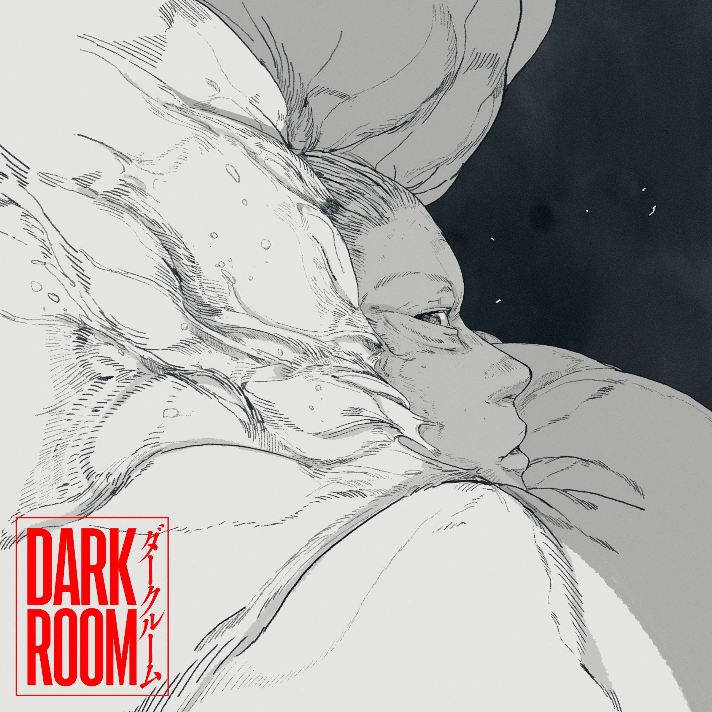 Darkroom - Single album cover