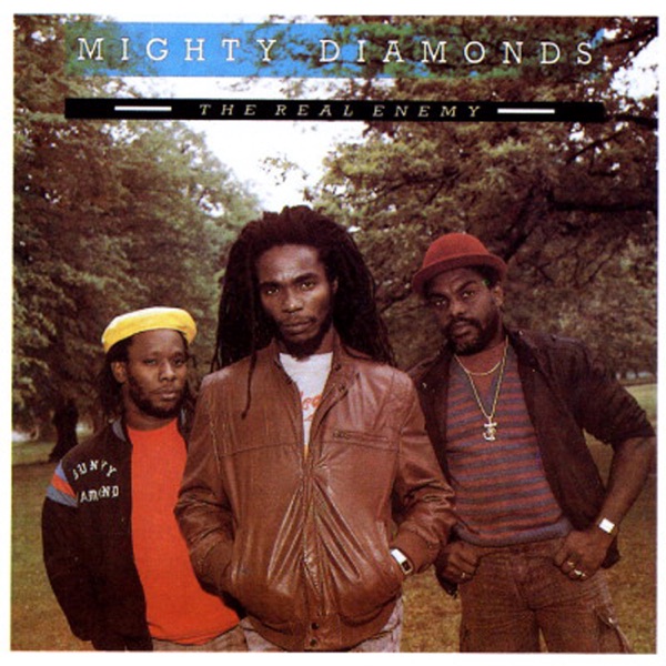 The Real Enemy album cover