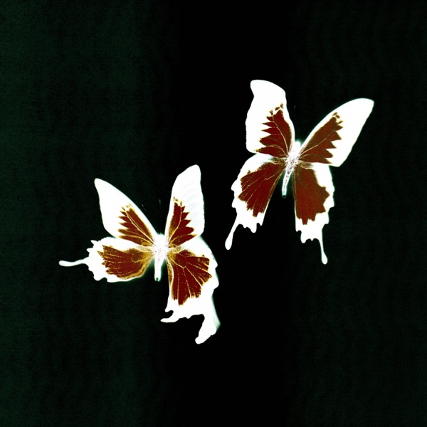 Deicide (Zanias & Neu-Romancer Remix) - Single album cover