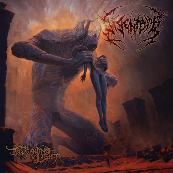 The Decaying Light album cover