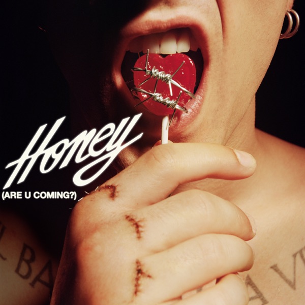 HONEY (ARE U COMING?) - Single album cover