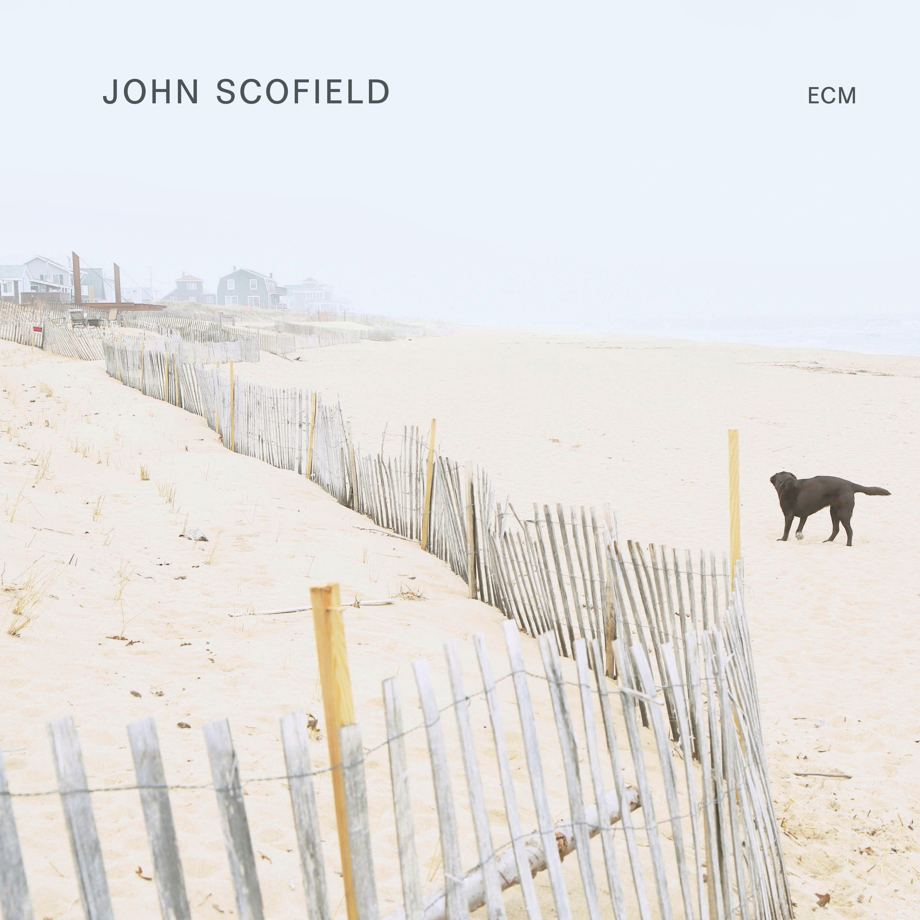 John Scofield album cover