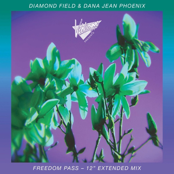 Freedom Pass (feat. Dana Jean Phoenix) [12" Extended Mix] - Single album cover