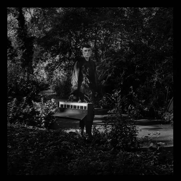 The Night Safari - Single album cover