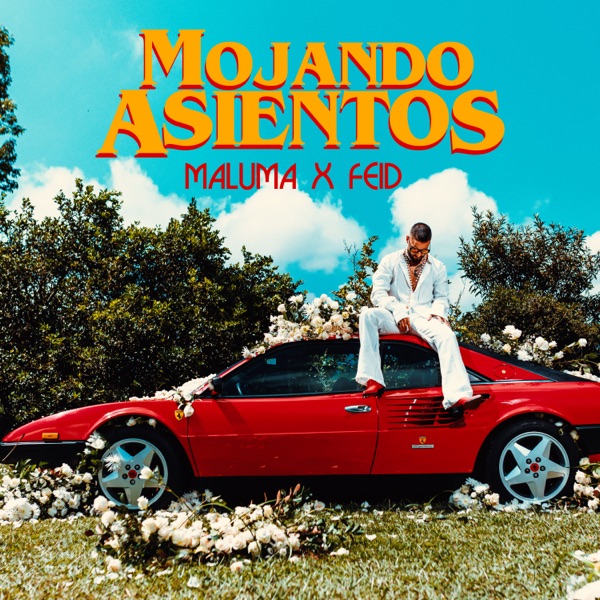 Mojando Asientos (feat. Feid) - Single album cover