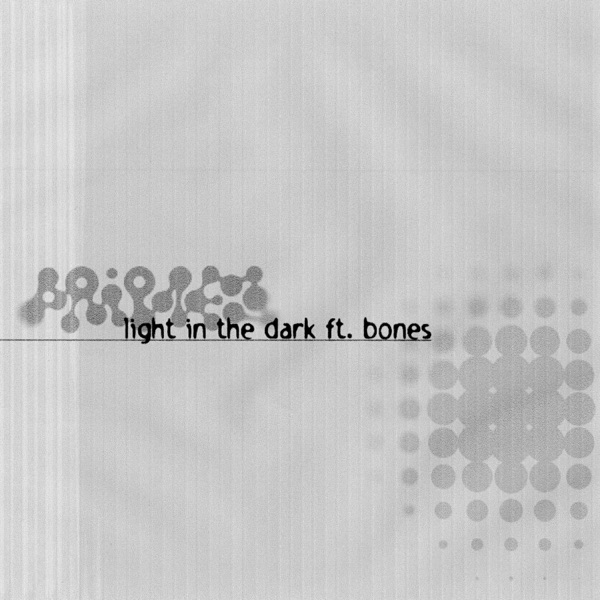 Light in the Dark (feat. BONES) - Single album cover
