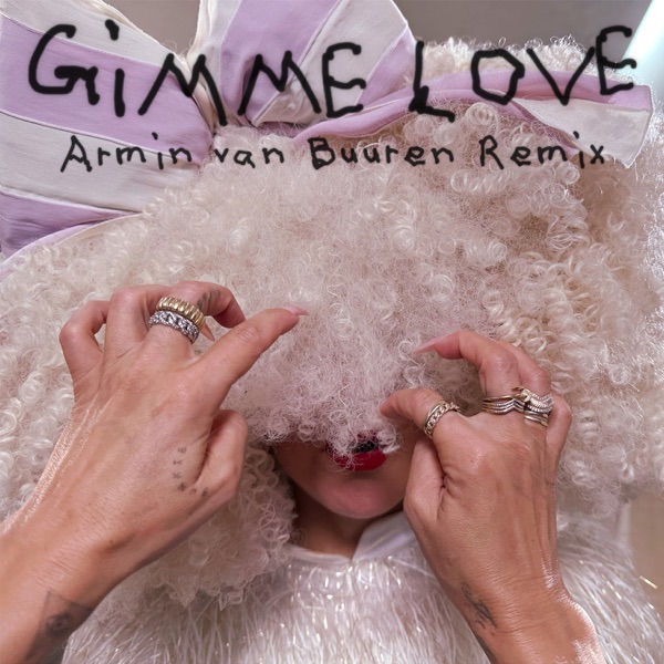 Gimme Love (Armin van Buuren Remix) - Single album cover