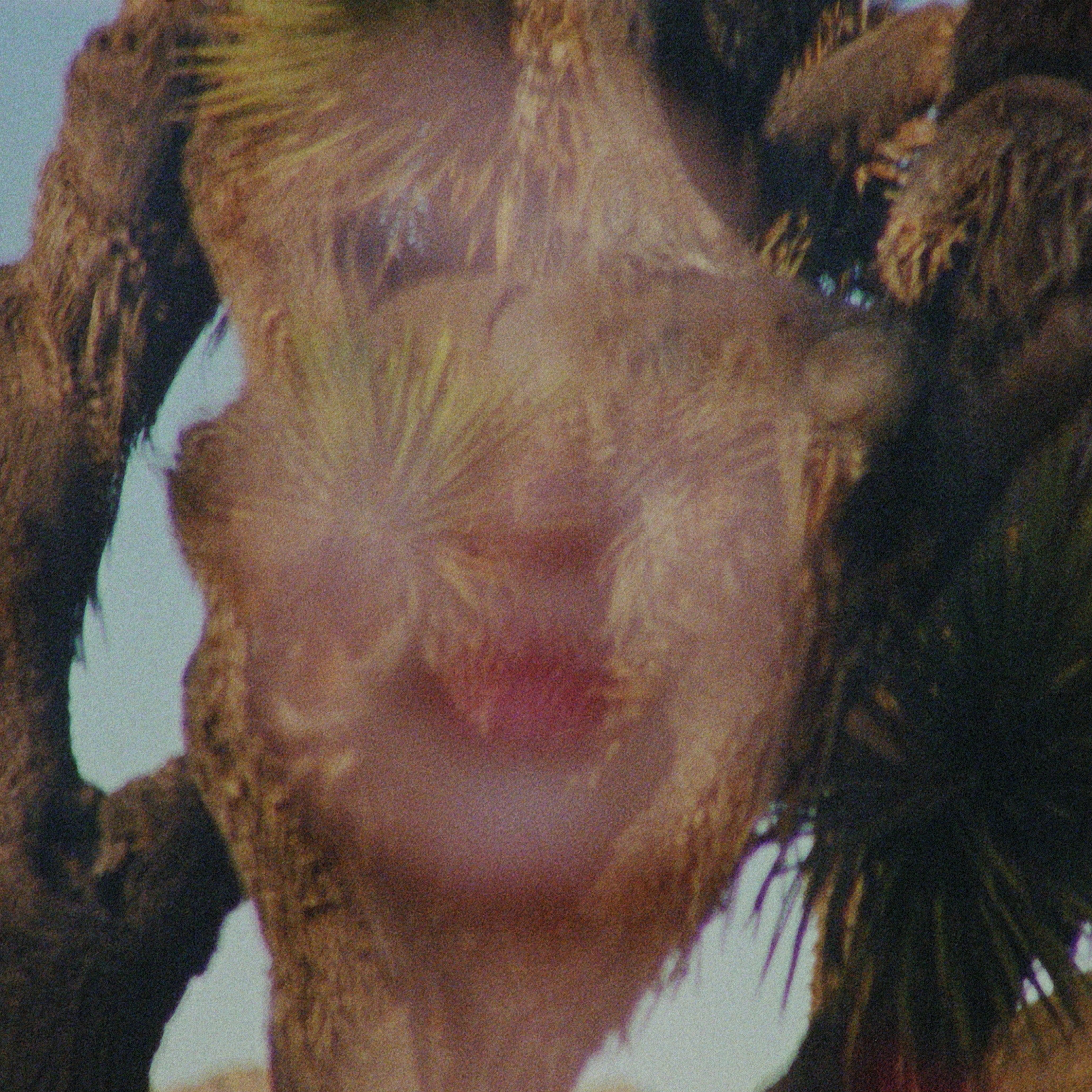 Derrumbe - Single album cover