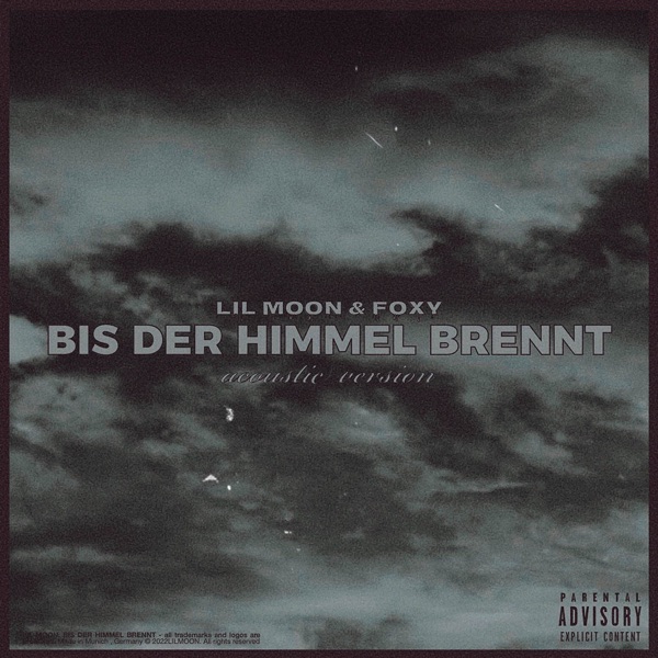 Bis Der Himmel Brennt (Acoustic Version) [Acoustic Version] [feat. Foxy] - Single album cover