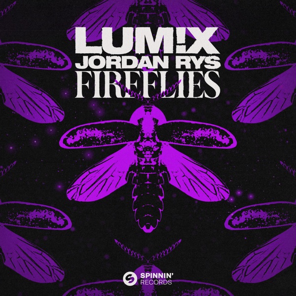 Fireflies - Single album cover