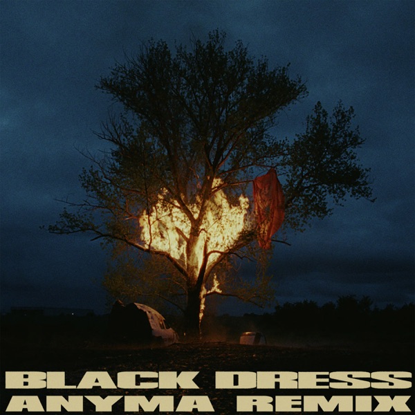 Black Dress (Anyma Remix) - Single album cover