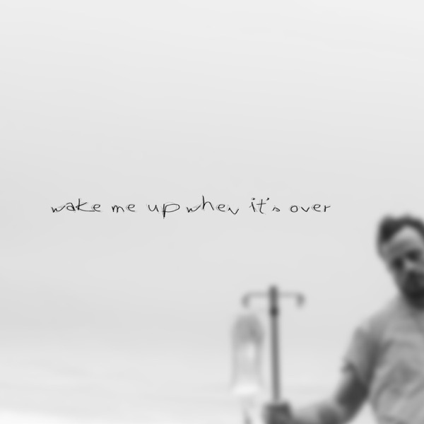 Wake Me Up When It's Over - Single album cover