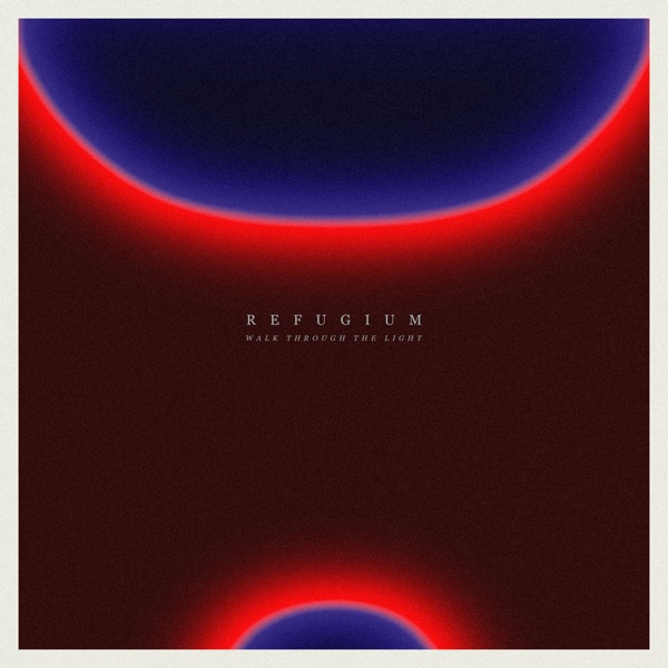 Walk Through the Light - Single album cover