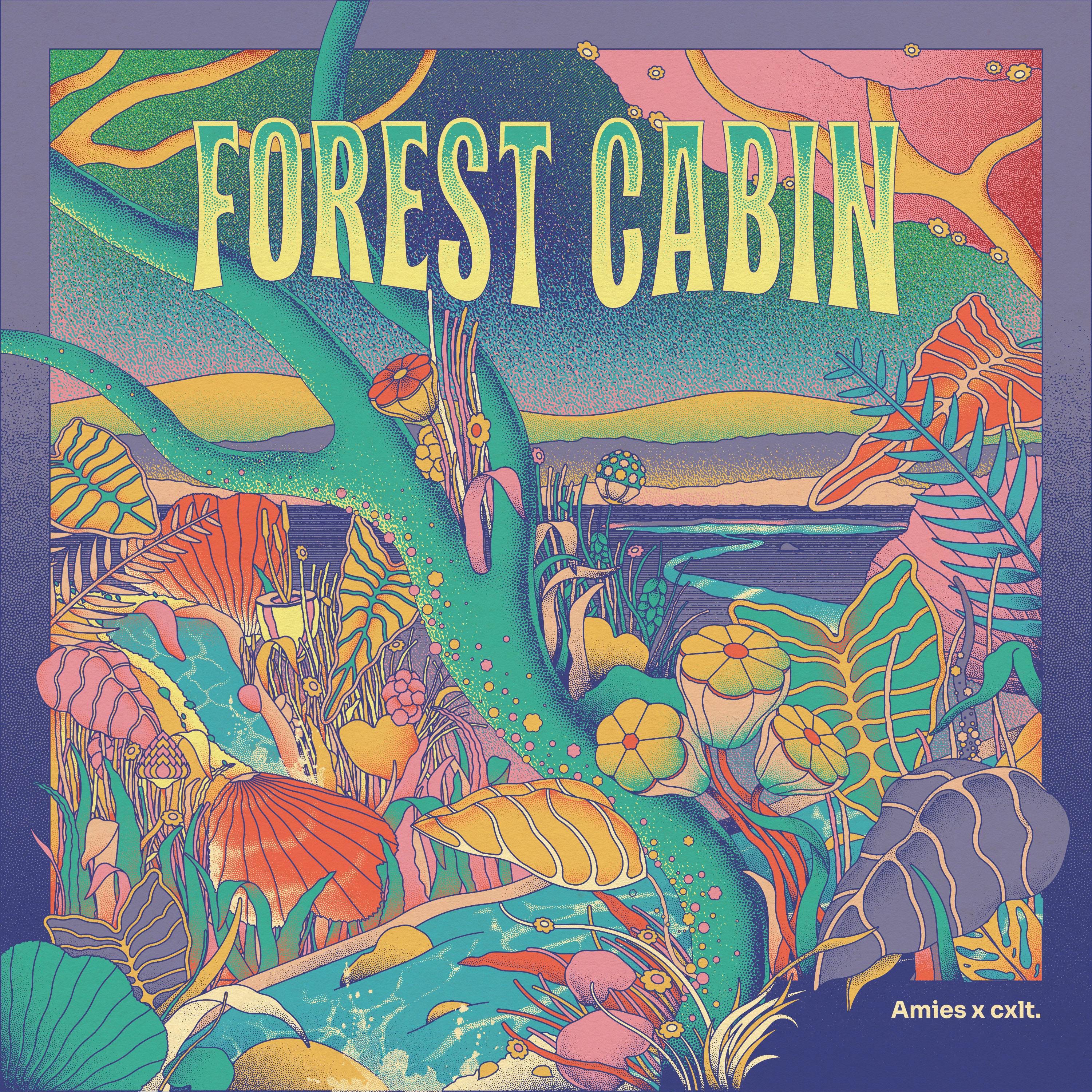 Forest Cabin - Single album cover