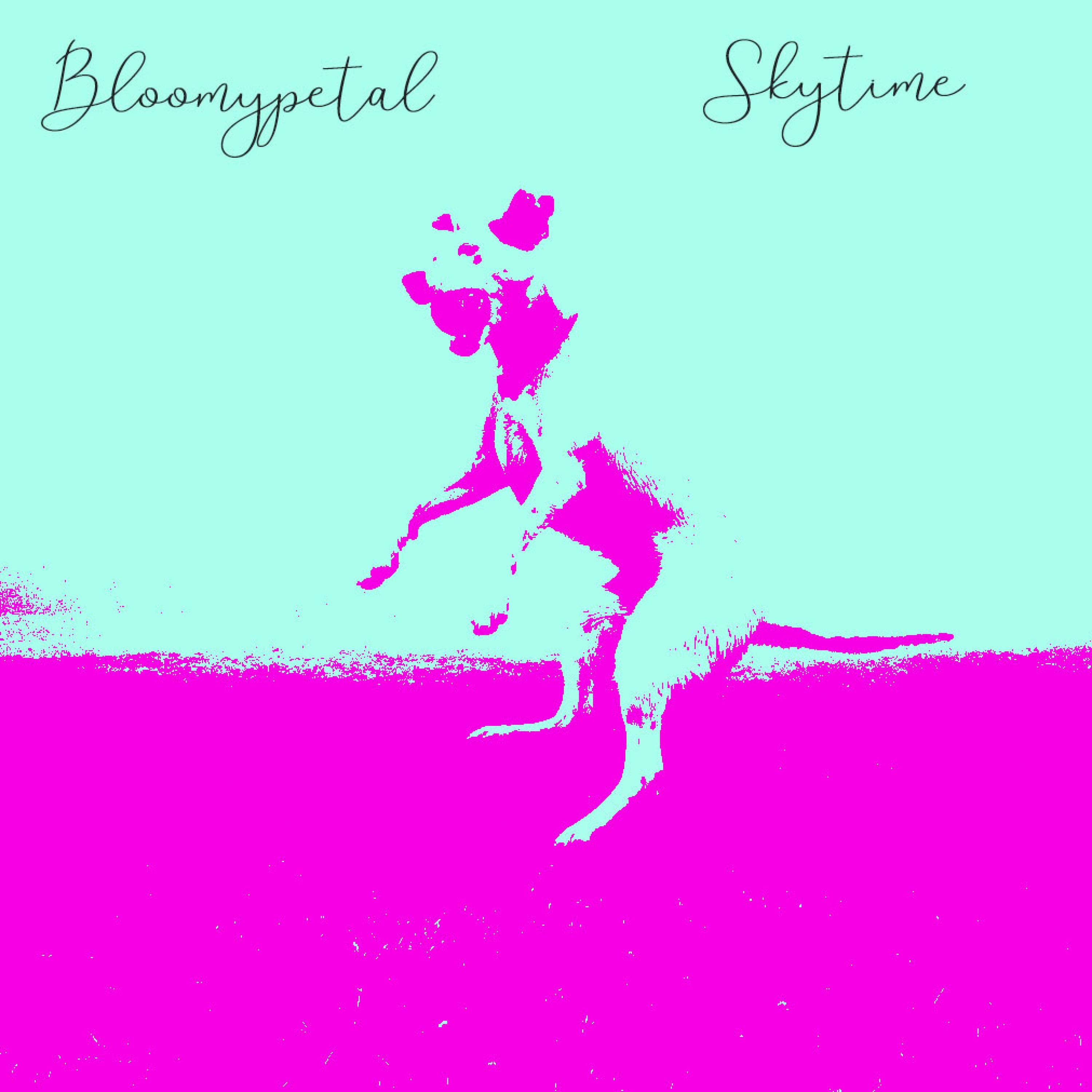 Skytime album cover