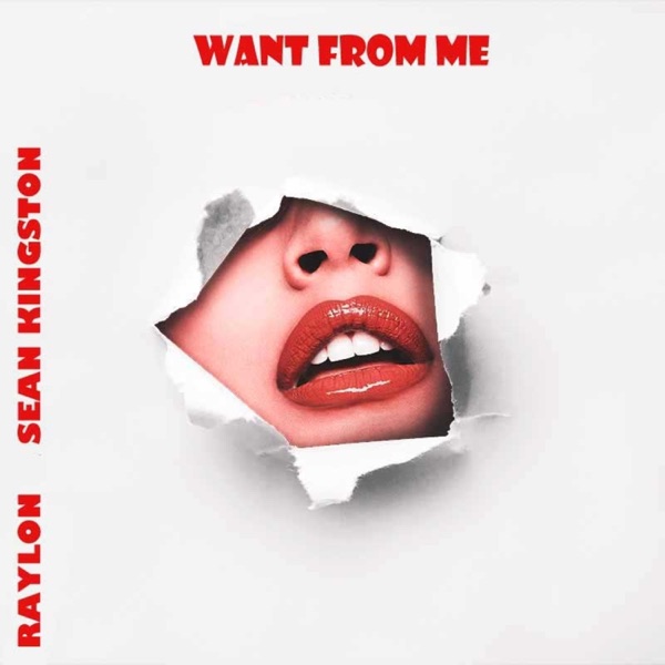Want from Me (feat. Sean Kingston) - Single album cover