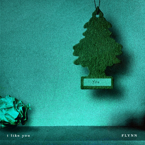 I Like You - Single album cover