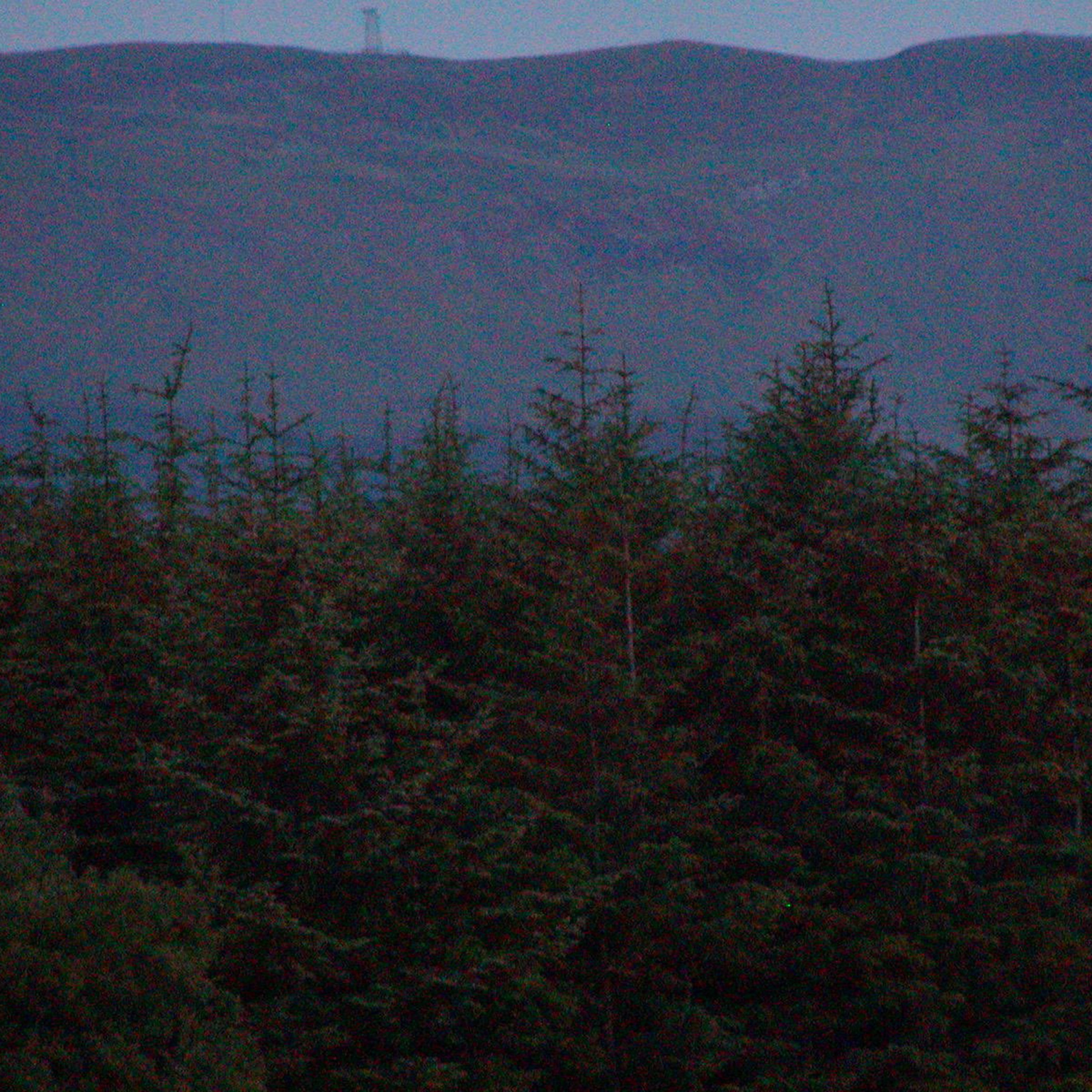 Alive - Single album cover