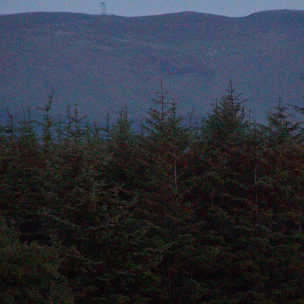 Alive - Single album cover