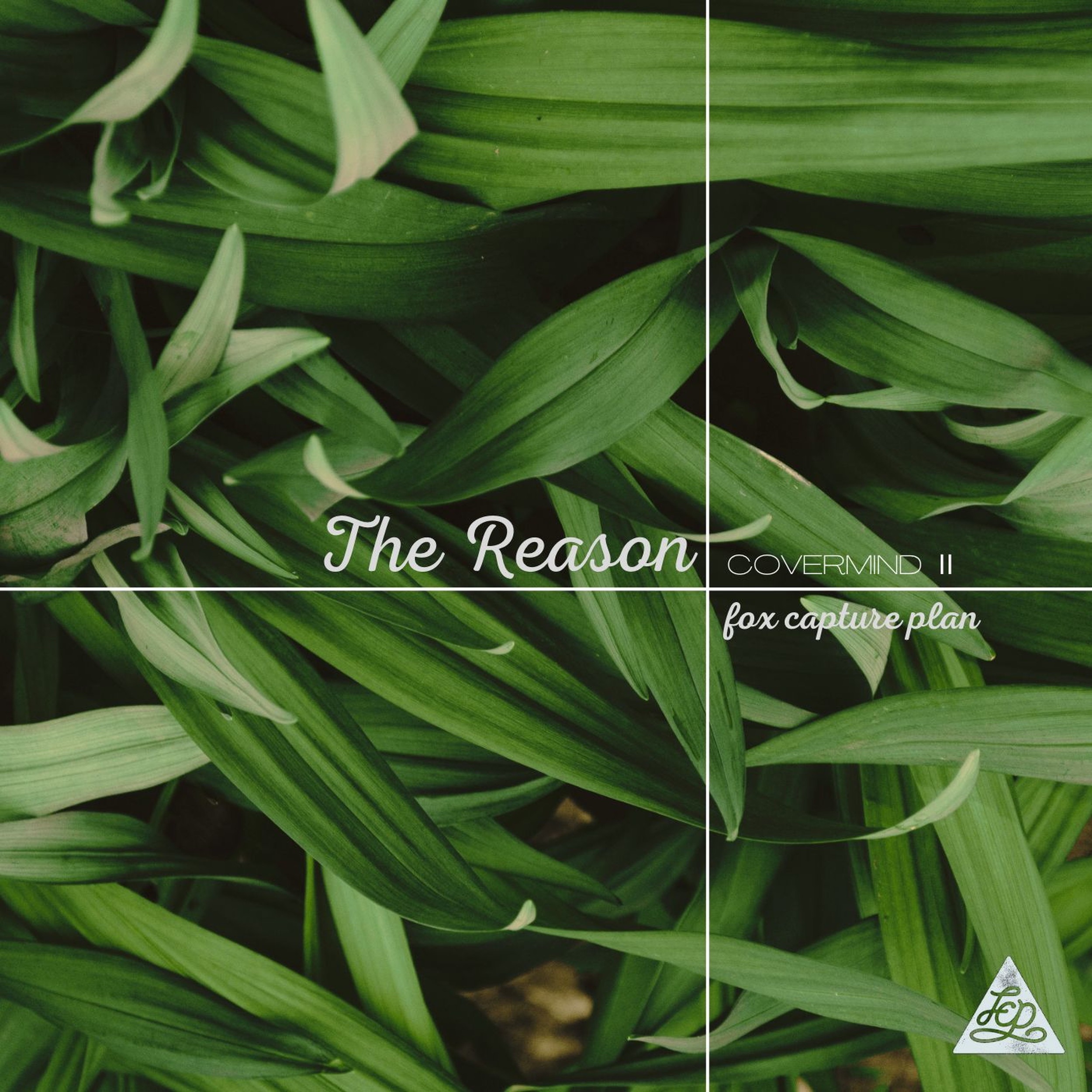 THE REASON - Single album cover