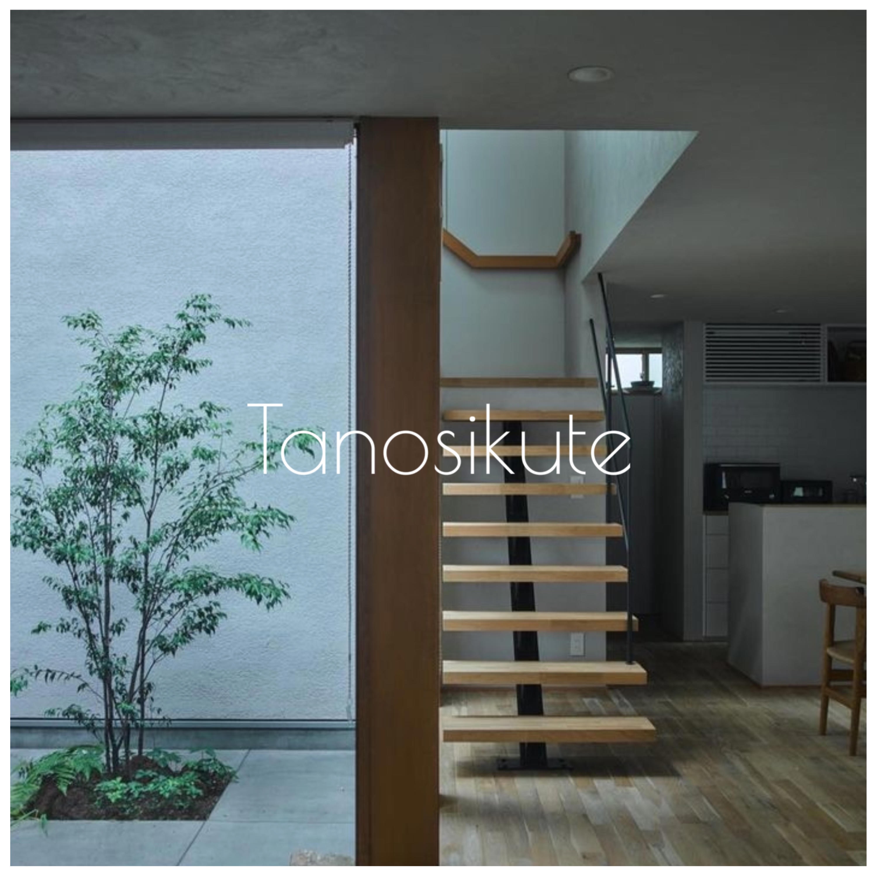 Tanosikute album cover