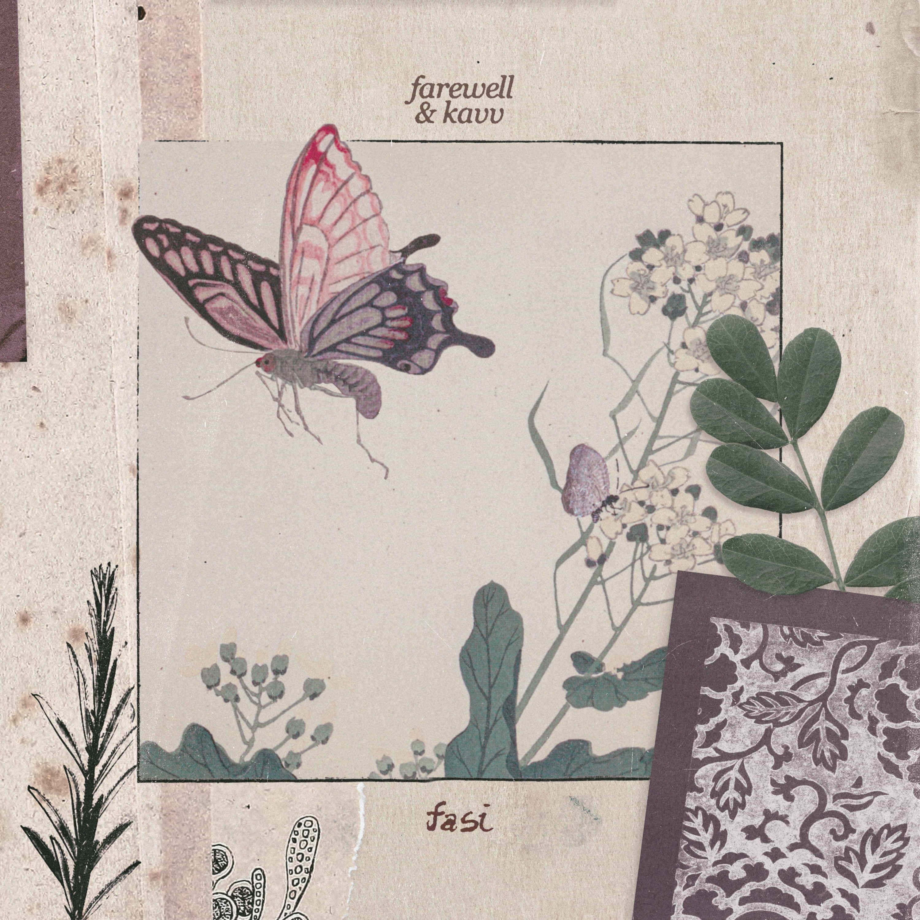 fasi - Single album cover
