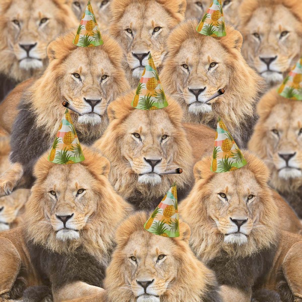 Party Lions (feat. Murder By Death) - Single album cover