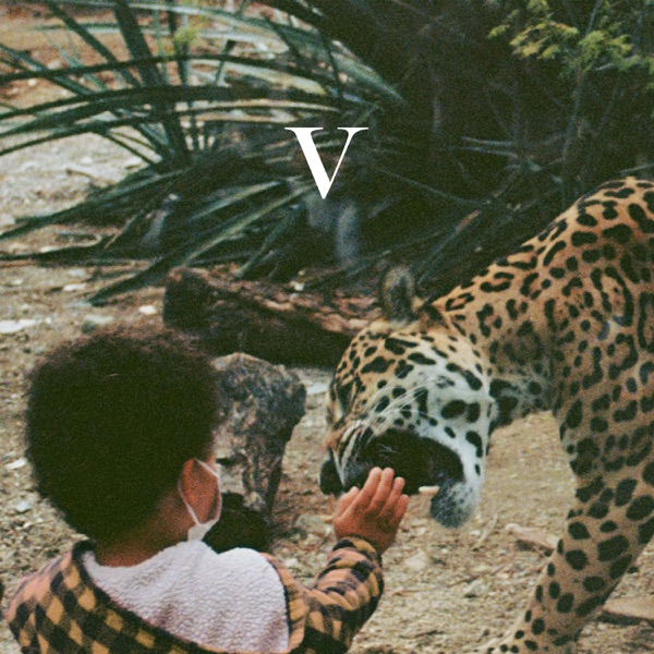 V album cover