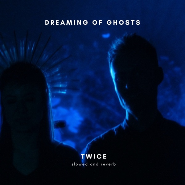 Twice (Slowed + Reverb) - Single album cover