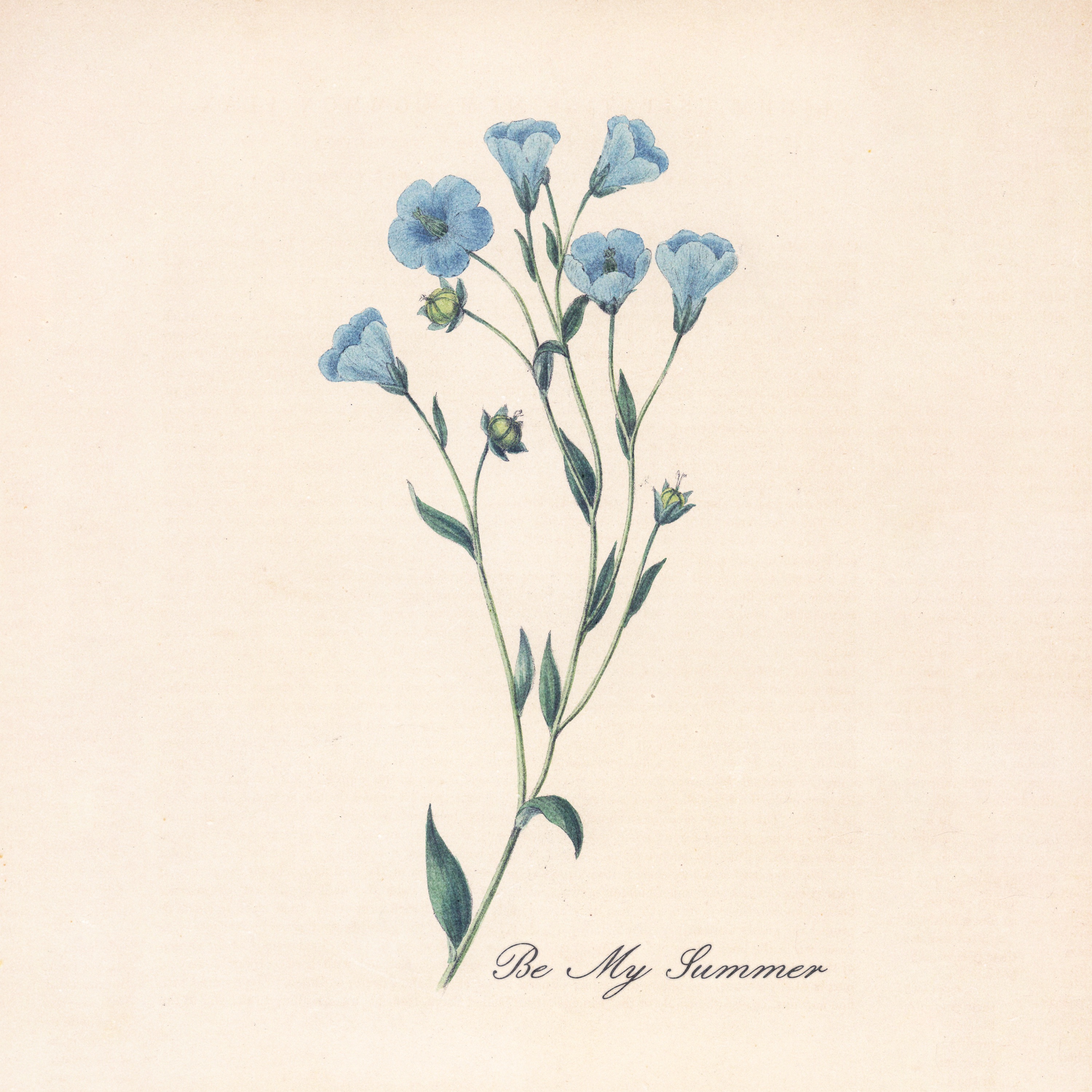 Be My Summer - Single album cover