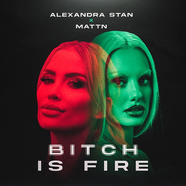 Bitch Is Fire - Single album cover
