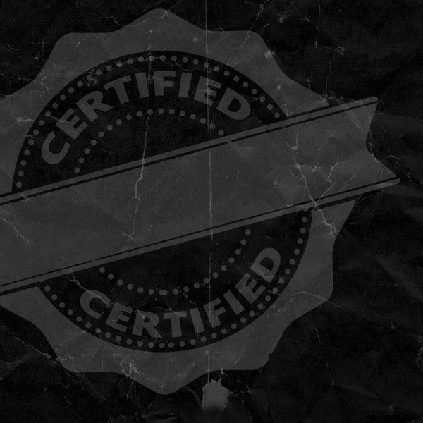 Certified - Single album cover