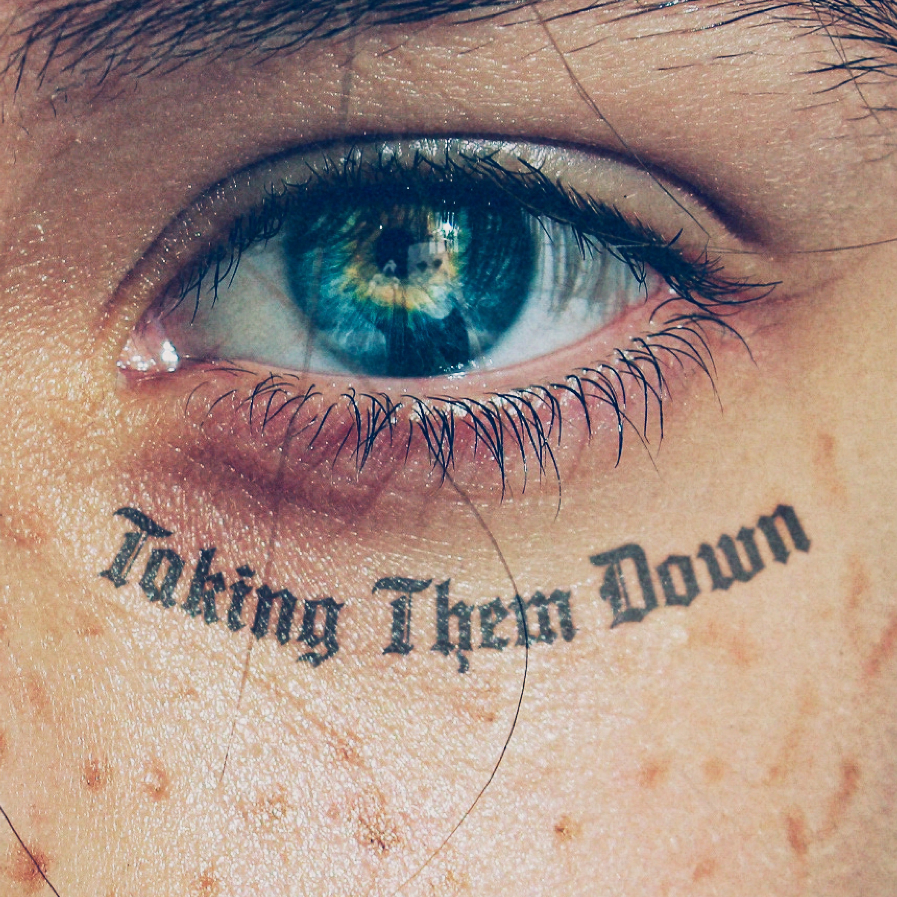 TAKING THEM DOWN - Single album cover