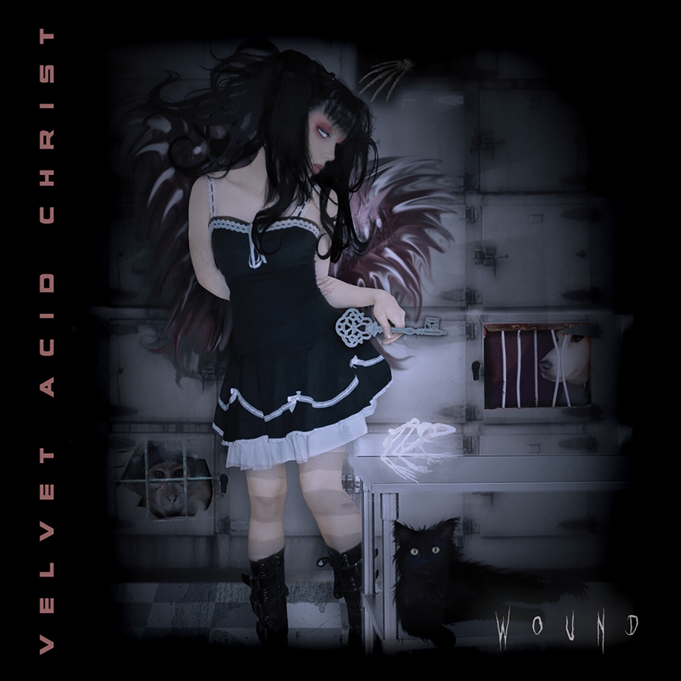 Wound - EP album cover