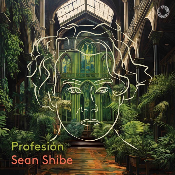 Profesión (Bonus Track Version) album cover