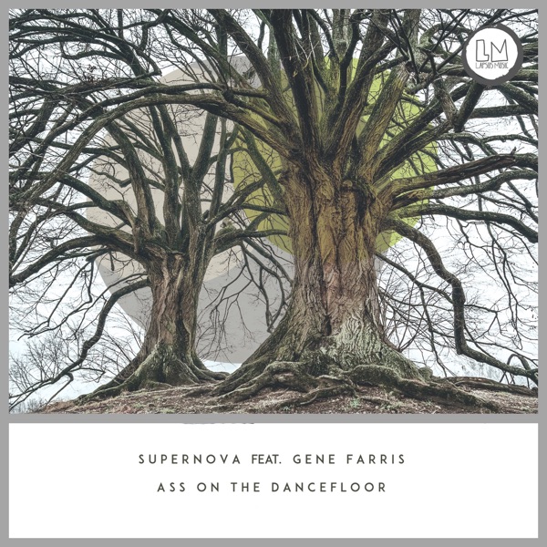 Ass on the Dancefloor (feat. Gene Farris) - Single album cover