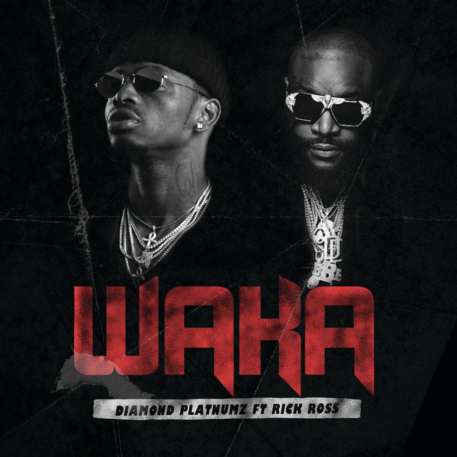 Waka (feat. Rick Ross) - Single album cover