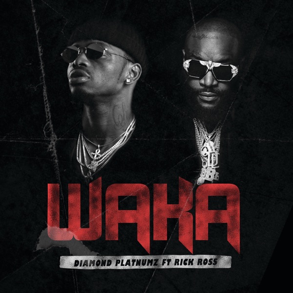 Waka (feat. Rick Ross) - Single album cover