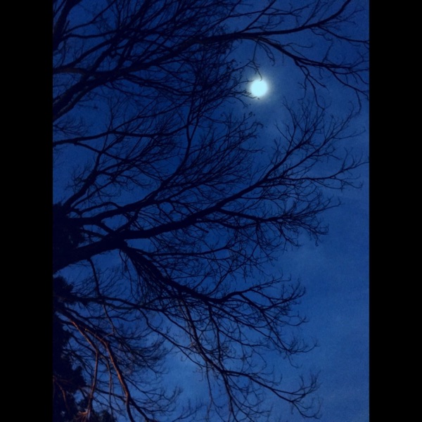 Moonlight In The Autumn - Single album cover